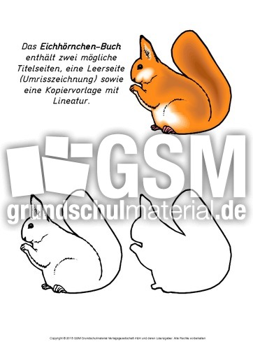 Mini-Buch-Eichhörnchen-K.pdf